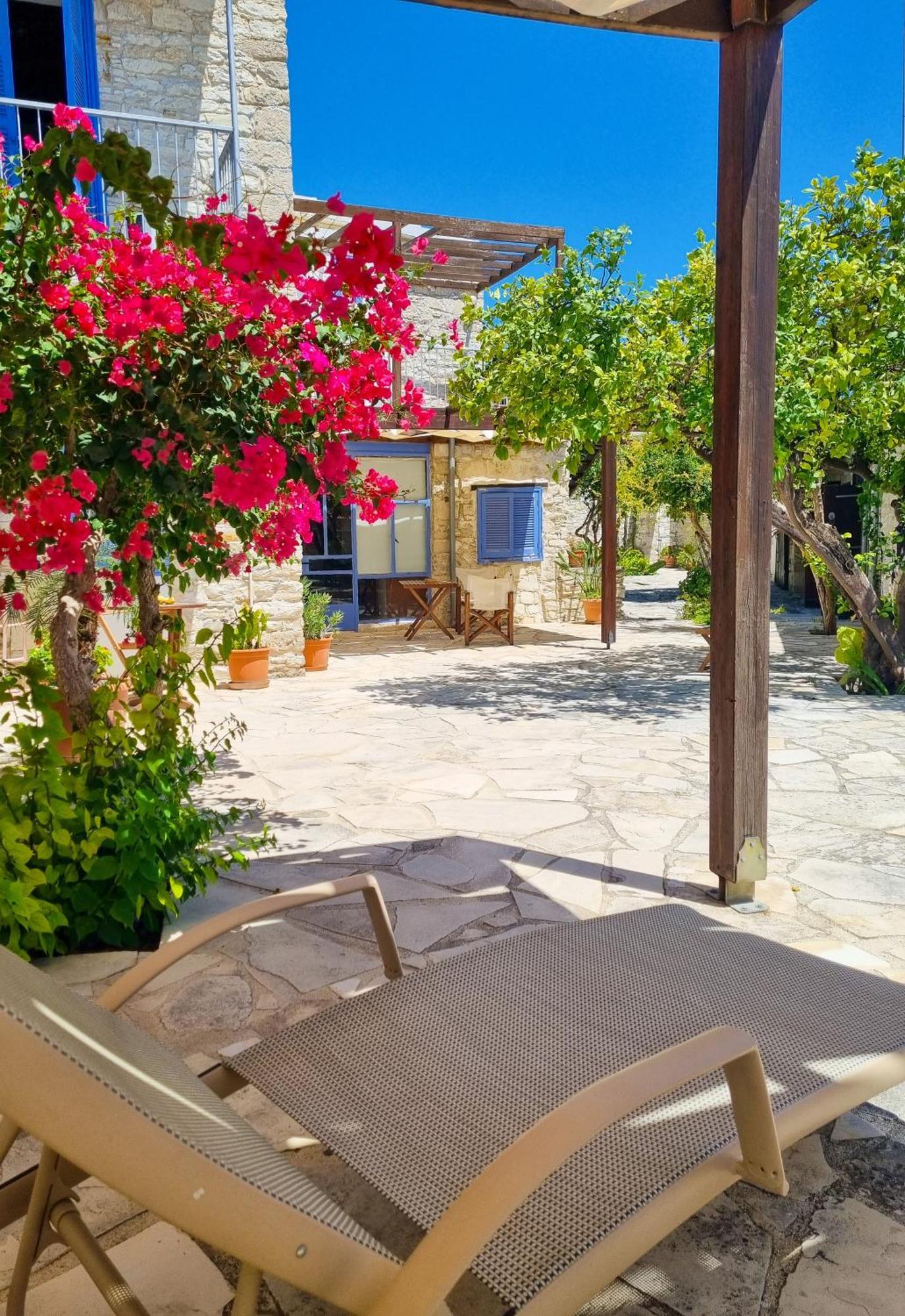 Athena'S Pool Oasis Daire Skarinou Dış mekan fotoğraf