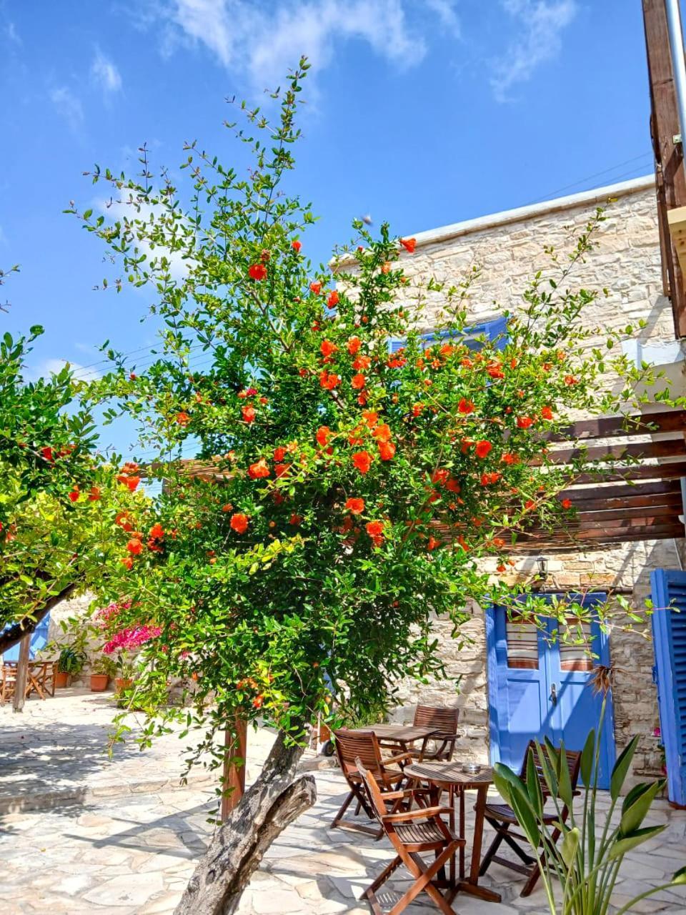 Athena'S Pool Oasis Daire Skarinou Dış mekan fotoğraf